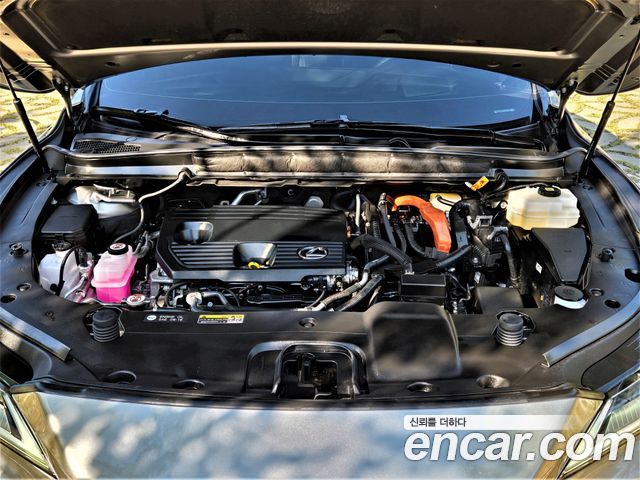 Lexus RX 2024 — photo 6