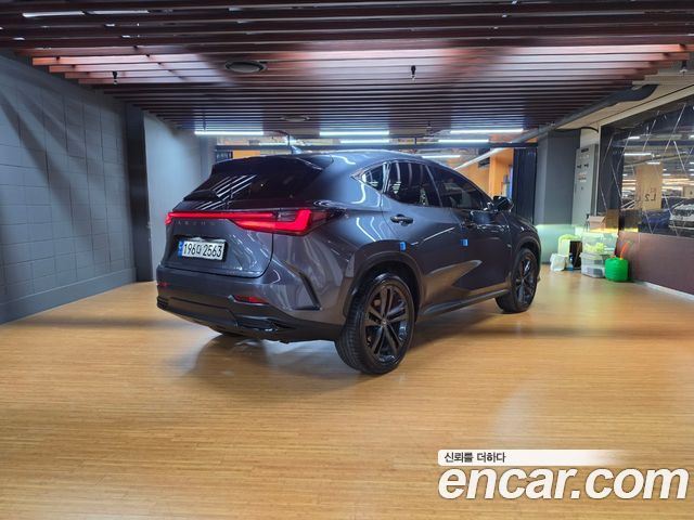 Lexus NX 2025 — photo 2