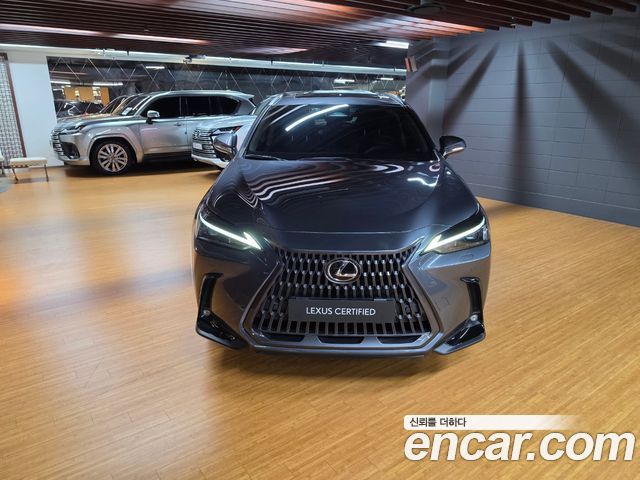 Lexus NX 2025 — photo 3
