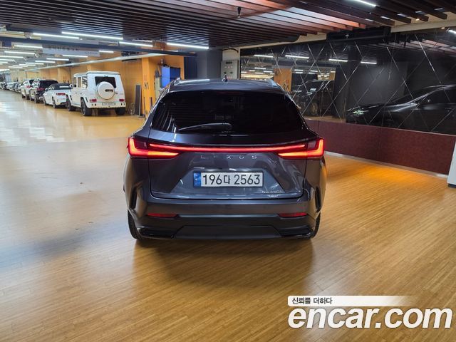 Lexus NX 2025 — photo 4