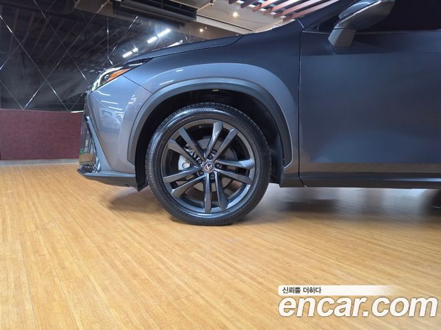 Lexus NX 2025 — photo 5