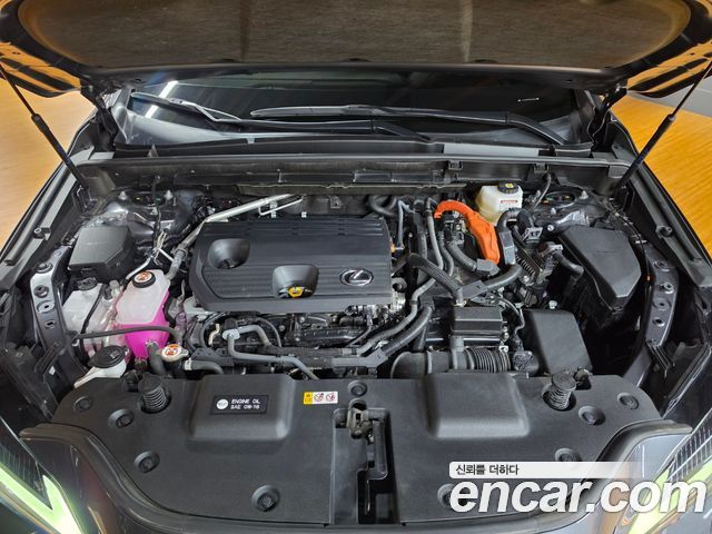 Lexus NX 2025 — photo 6