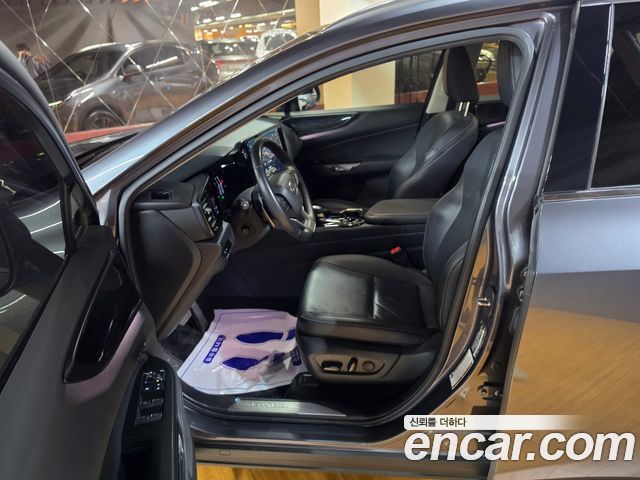 Lexus NX 2025 — photo 10