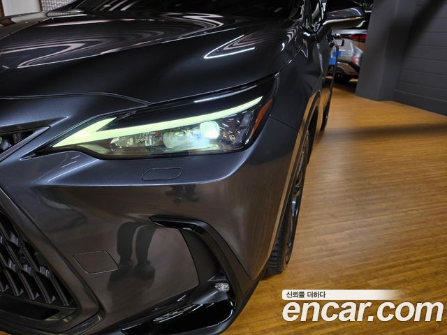 Lexus NX 2025 — photo 17