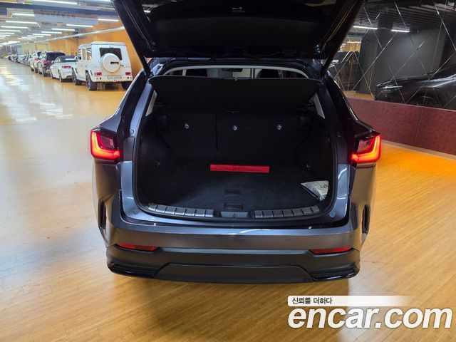 Lexus NX 2025 — photo 18