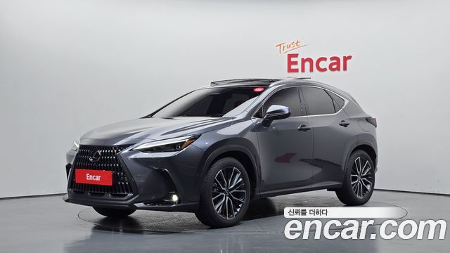 Lexus NX 2025 — photo 1