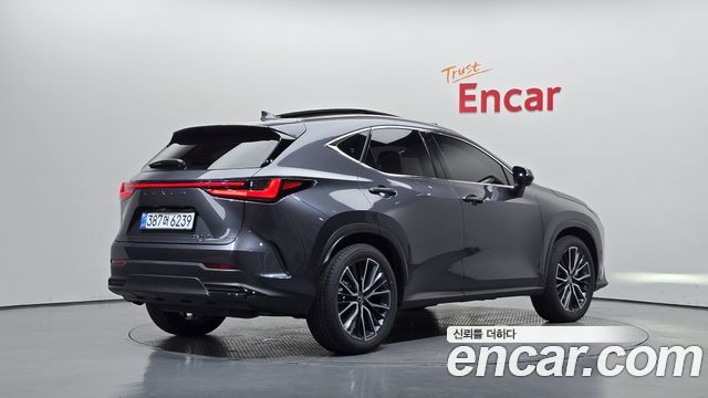 Lexus NX 2025 — photo 2