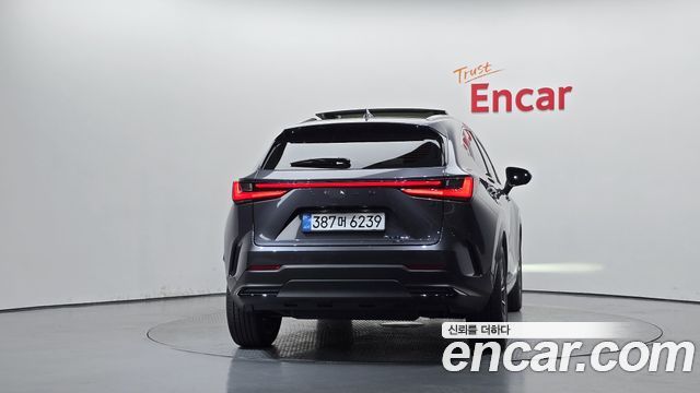 Lexus NX 2025 — photo 4