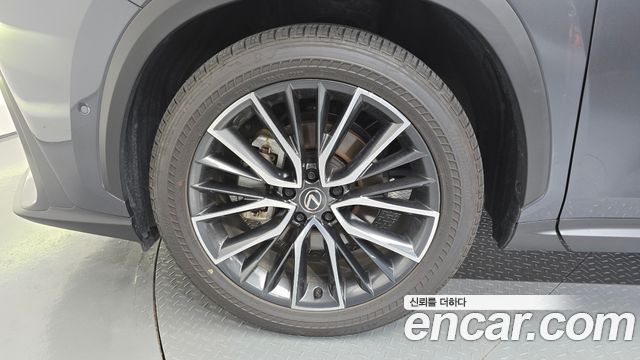 Lexus NX 2025 — photo 5