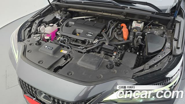 Lexus NX 2025 — photo 6