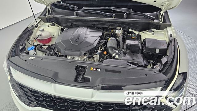 Kia Sportage 2023 — photo 6