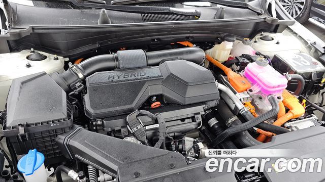 Kia Sportage 2025 — photo 6