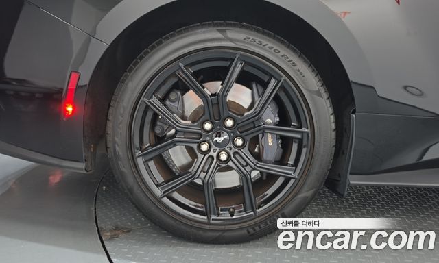 Ford Mustang 2024 — photo 5