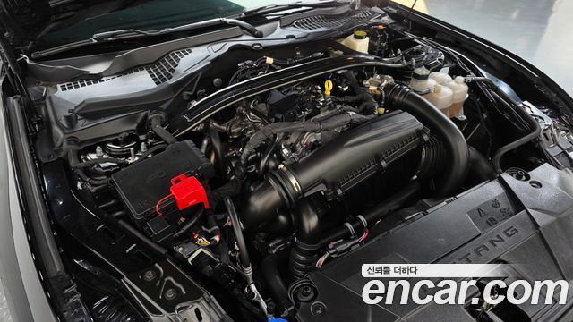 Ford Mustang 2024 — photo 6
