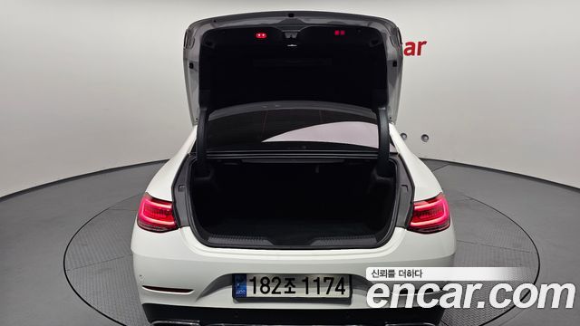 Mercedes-Benz CLS-Class 2019 — photo 20