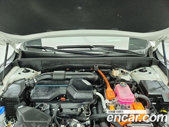 Kia Sorento 2025 — photo 5