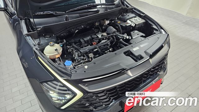 Kia Sportage 2023 — photo 6