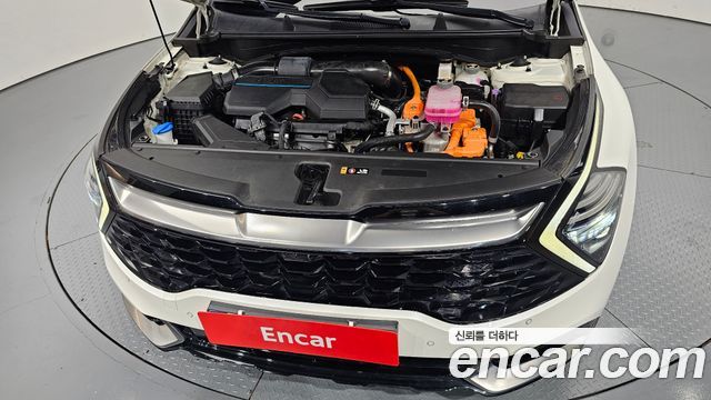 Kia Sportage 2024 — photo 6