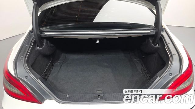 Mercedes-Benz CLS-Class 2013 — photo 19
