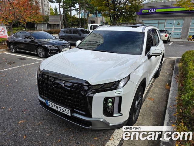 Hyundai Palisade 2024 — photo 1