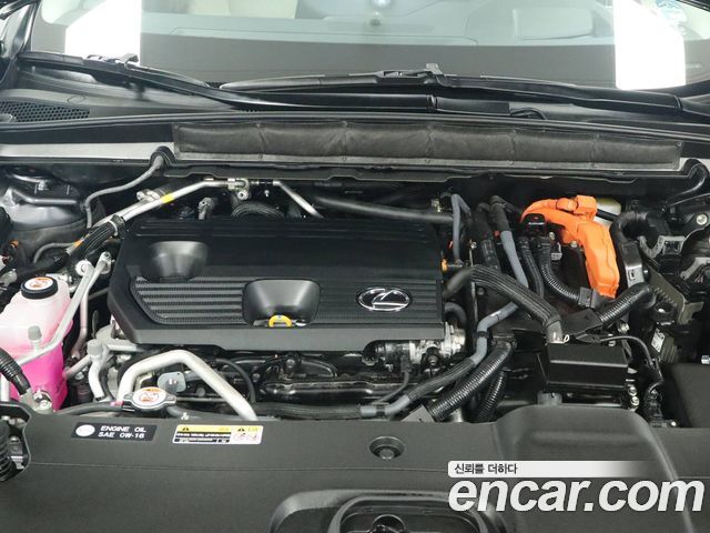 Lexus RX 2025 — photo 6