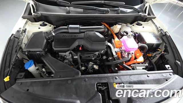 Kia Sportage 2025 — photo 6