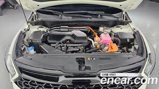 Kia Sportage 2024 — photo 6