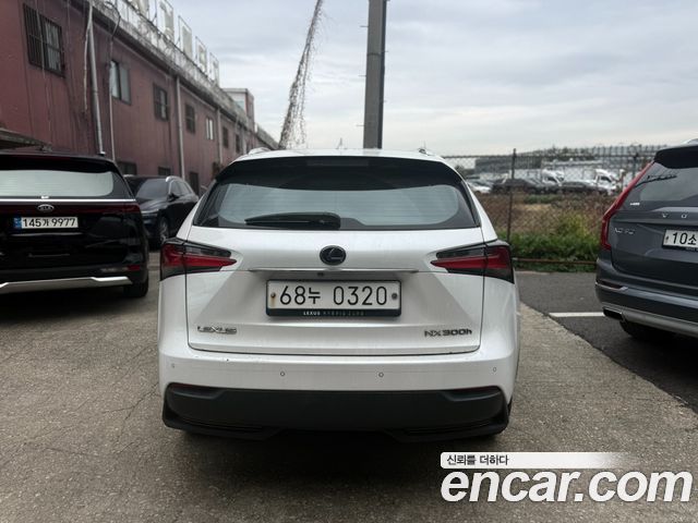 Lexus NX 2017 — photo 2