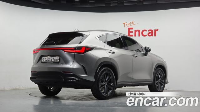 Lexus NX 2022 — photo 2