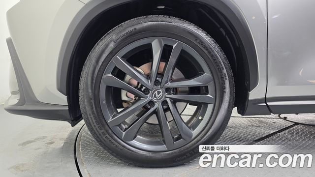 Lexus NX 2022 — photo 5