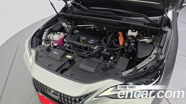 Lexus NX 2022 — photo 6