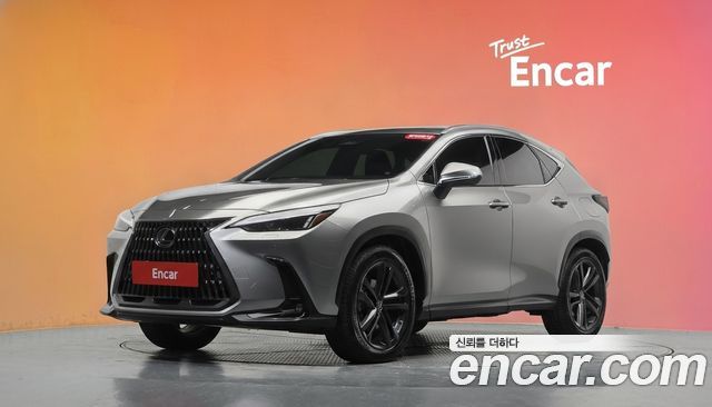 Lexus NX 2022 — photo 1