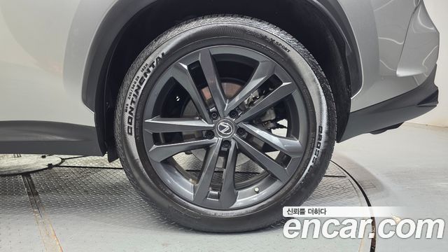 Lexus NX 2022 — photo 7