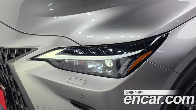 Lexus NX 2022 — photo 8