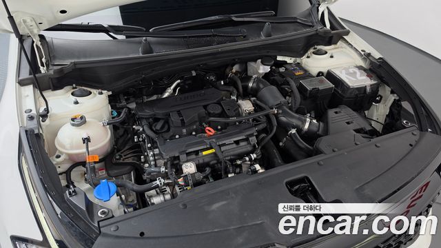 Kia Sportage 2024 — photo 6