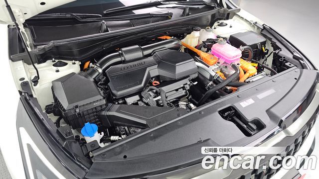 Kia Sportage 2025 — photo 6
