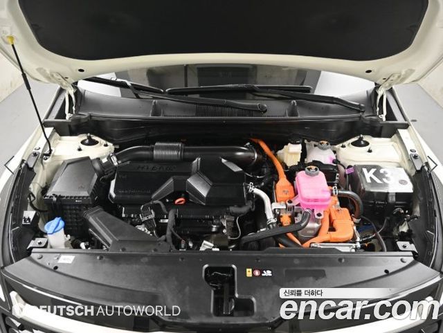 Kia Sportage 2025 — photo 6