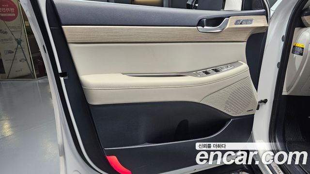Hyundai Palisade 2019 — photo 14