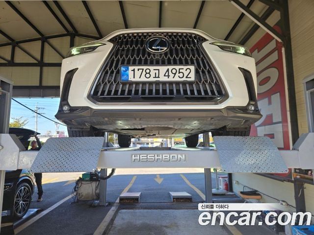 Lexus NX 2025 — photo 1