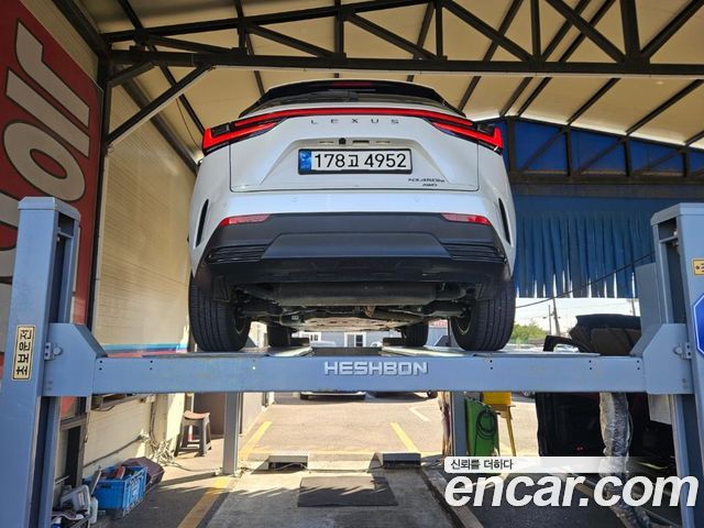 Lexus NX 2025 — photo 2