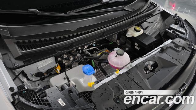 BYD Dolphin 2026 — photo 6