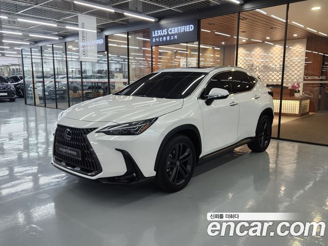 Lexus NX 2025 — photo 1