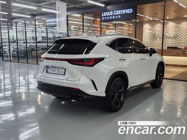 Lexus NX 2025 — photo 2