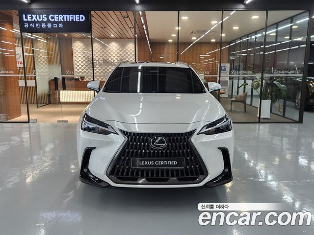 Lexus NX 2025 — photo 3