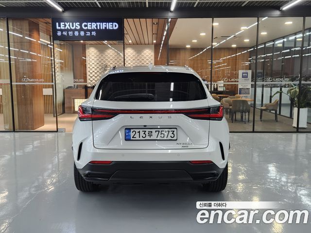 Lexus NX 2025 — photo 4