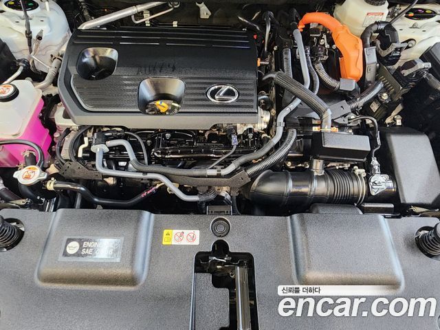 Lexus NX 2025 — photo 6