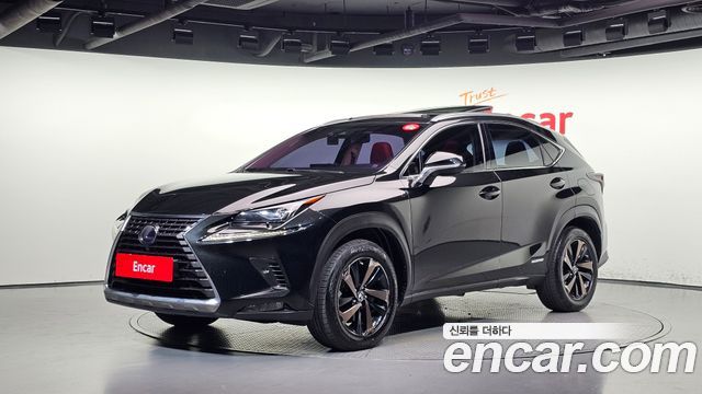 Lexus NX 2019 — photo 1
