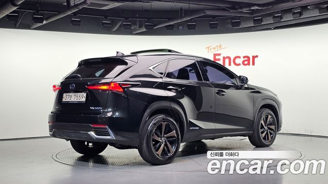 Lexus NX 2019 — photo 2