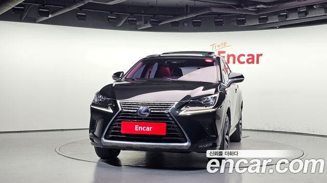 Lexus NX 2019 — photo 3