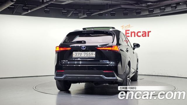 Lexus NX 2019 — photo 4